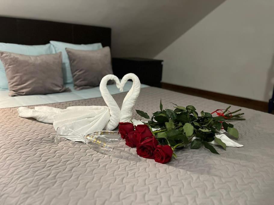 Apartament Cozy 3 Story House In Old Town Tallin Zewnętrze zdjęcie
